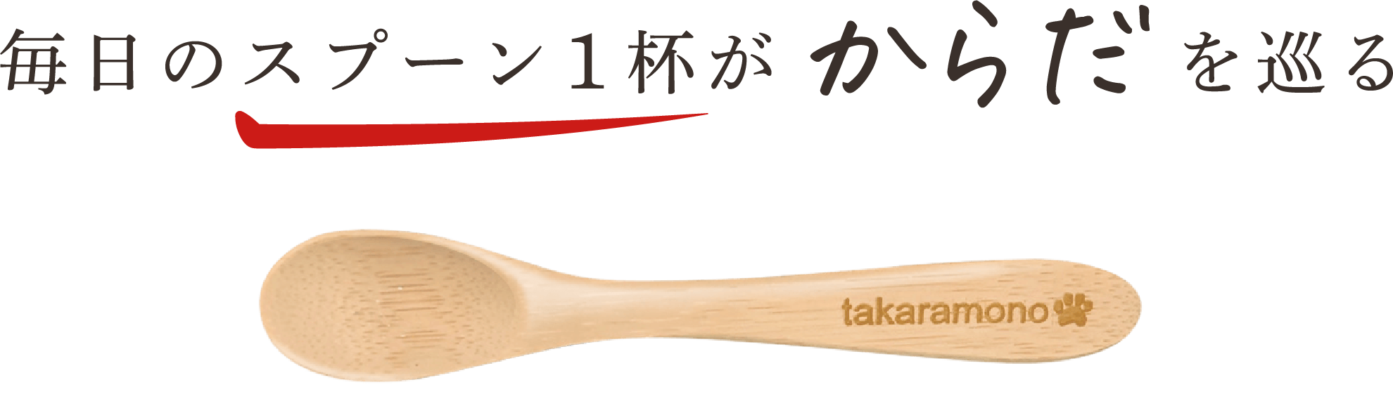 毎日のスプーン一杯がからだを巡る